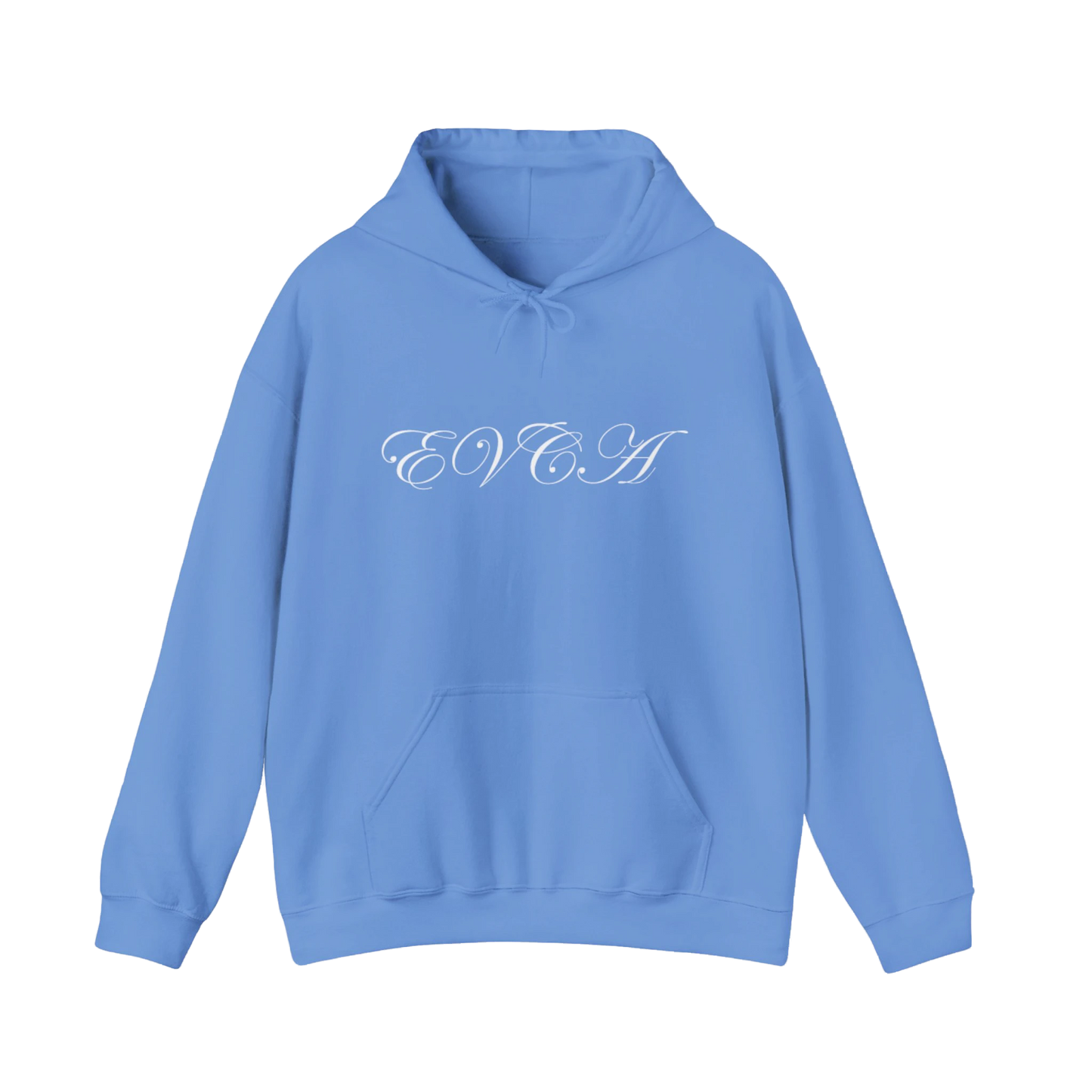 HEAVY BLEND HOODED HOODIE